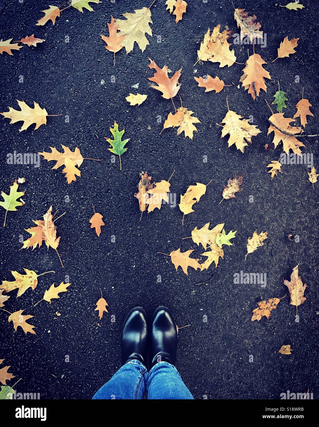 Buntes Laub auf dem Boden. Herbst. Frau in schwarzen Stiefeln zu Fuß durch buntes Laub. Herbst im Park. Unbekannte Frau zu Fuß in den Park im Herbst Stockfoto