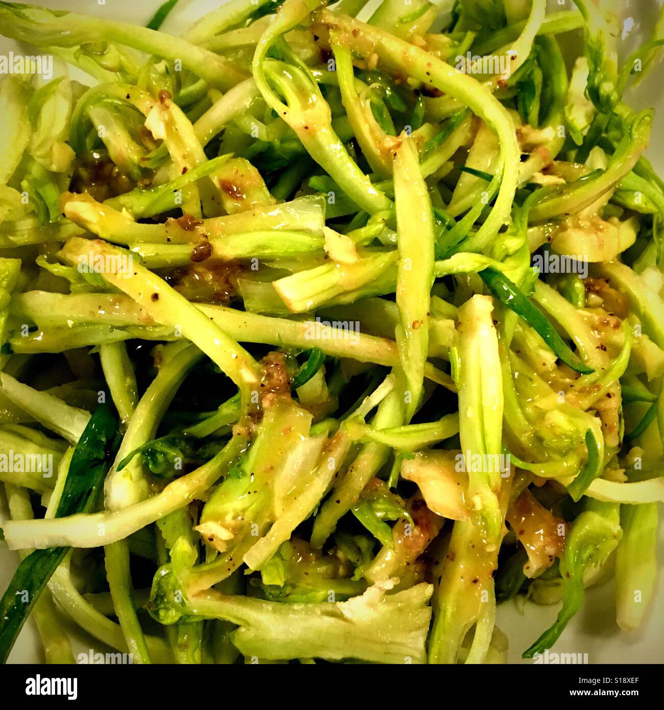 Puntarelle Salat Stockfoto