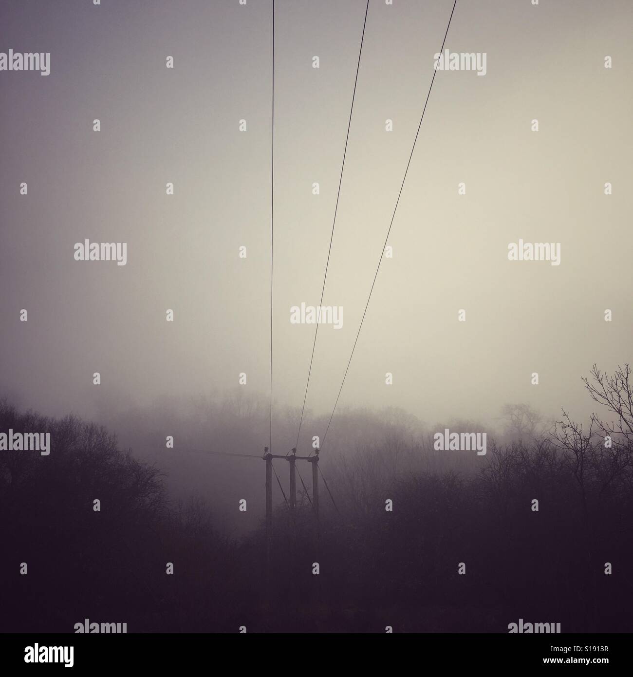 Nebel-Landschaft mit Stromleitung - Smartphone-aufgenommenes Stockfoto