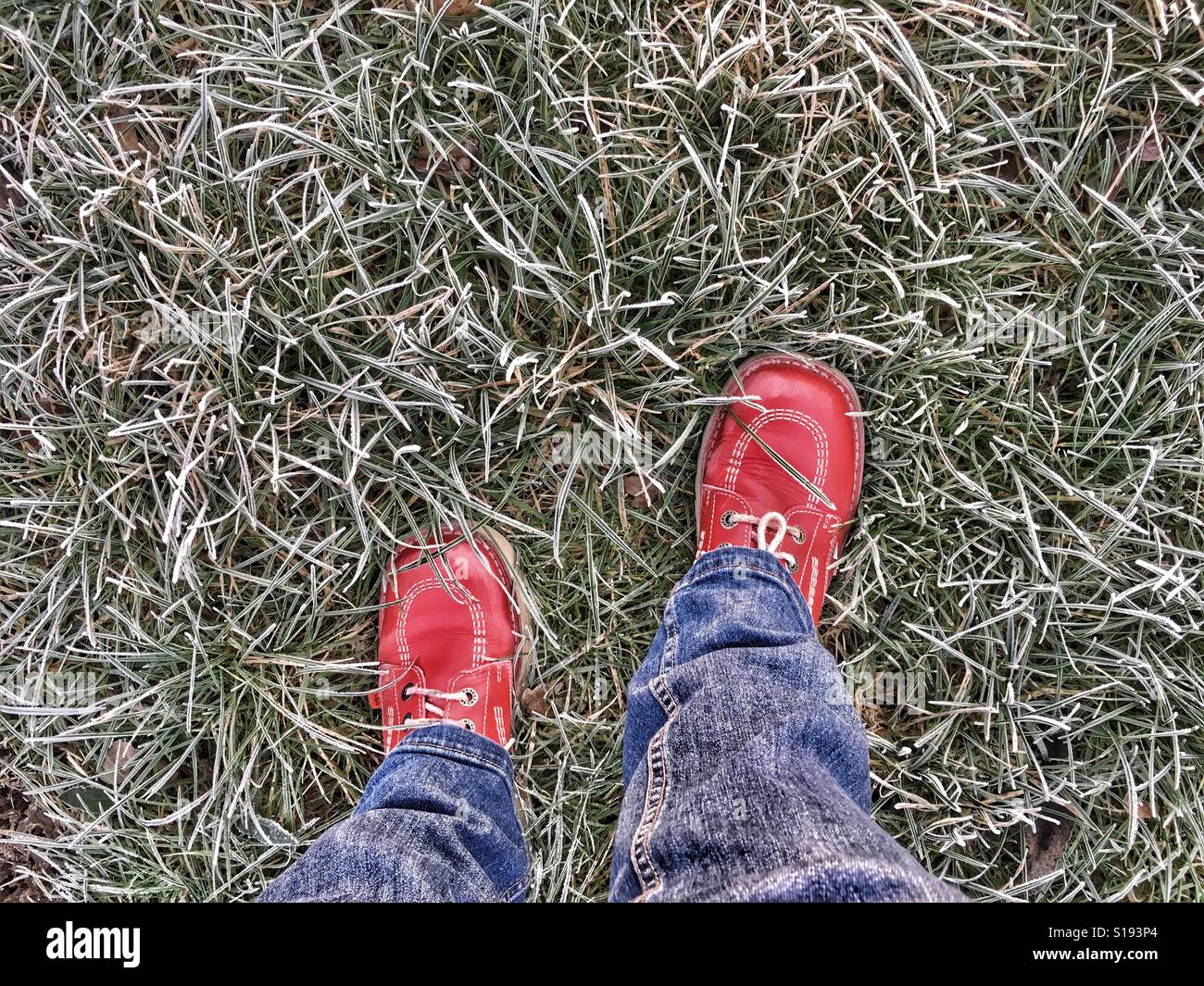 POV-Füße in rotem Lederschuhe in einem frostigen Feld - Smartphone-aufgenommenes Stockfoto