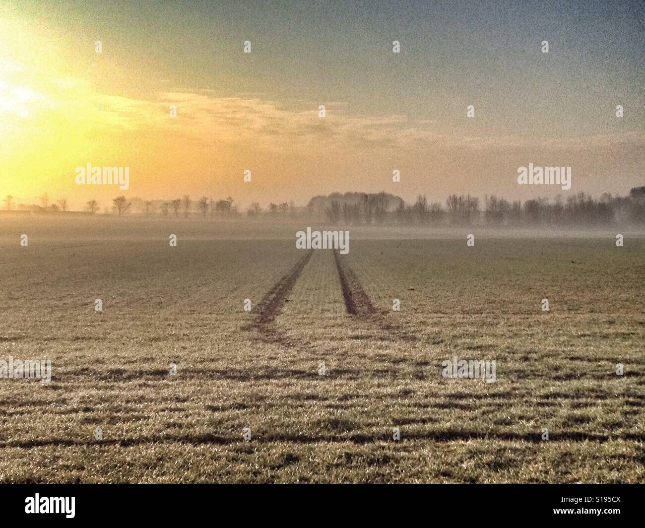Frostiger Morgen, Alderton, Suffolk, UK. - Smartphone-aufgenommenes Stockfoto