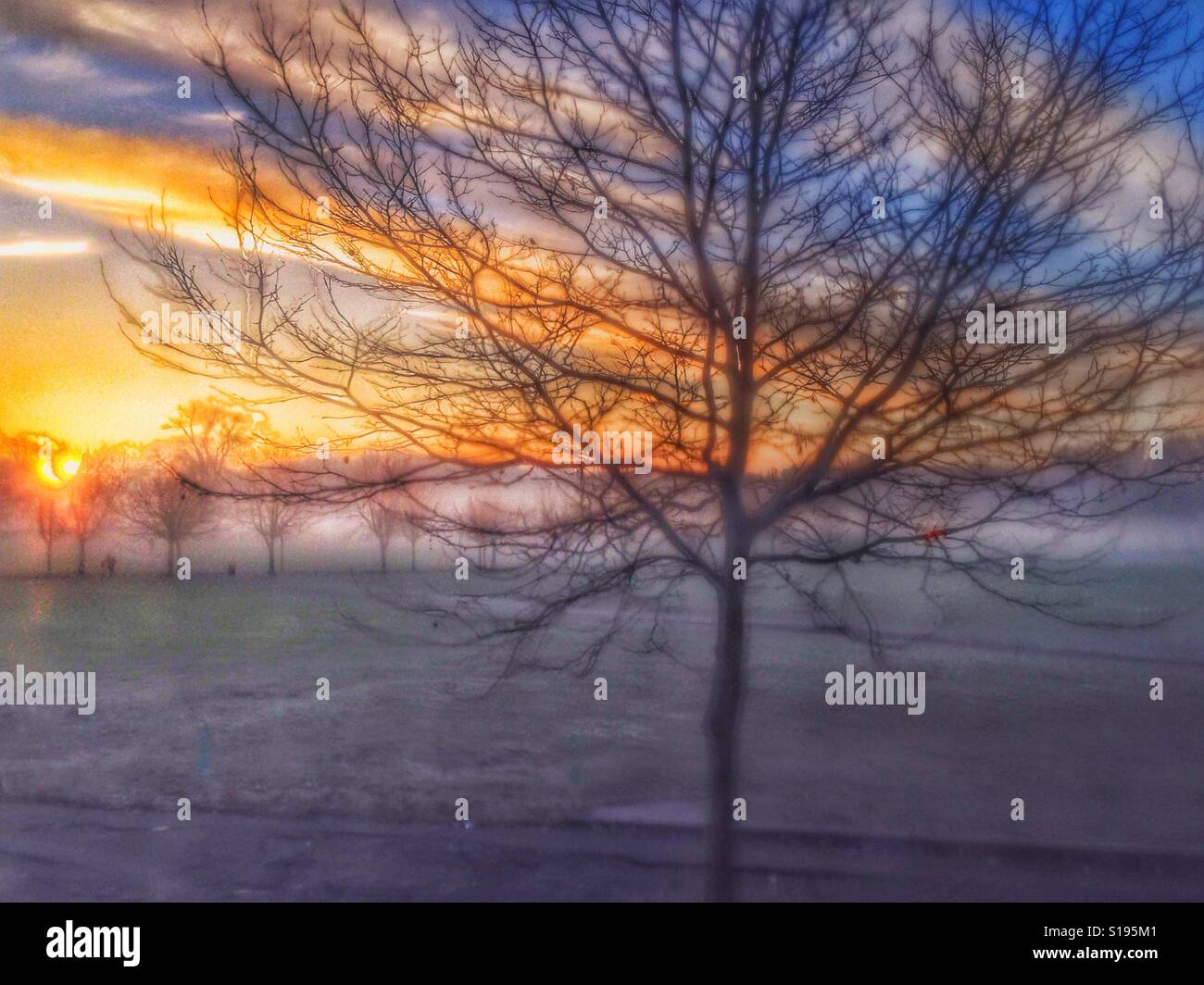 Peckham Rye Morgen. Stockfoto