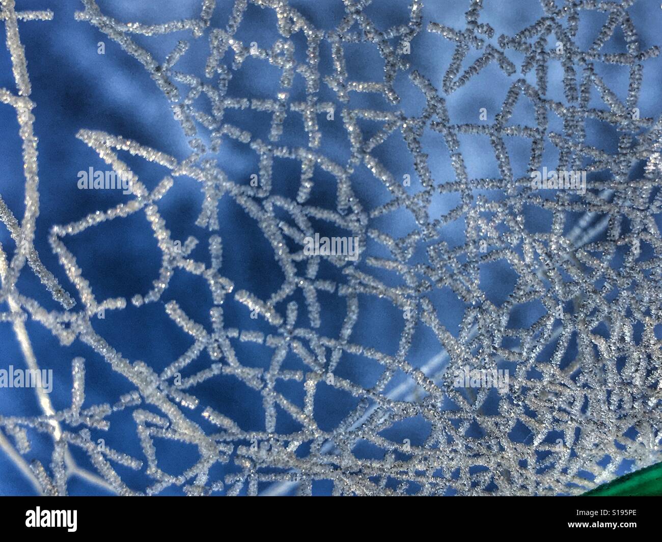Durch eine frostige Spinnennetz zu blauen Himmel aufzublicken Stockfoto