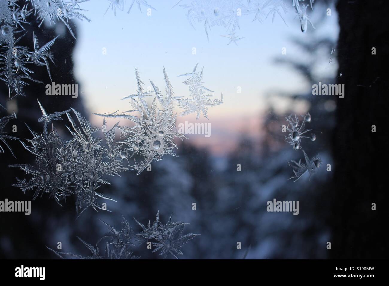 Frostigen Windows am frühen Morgen Stockfoto