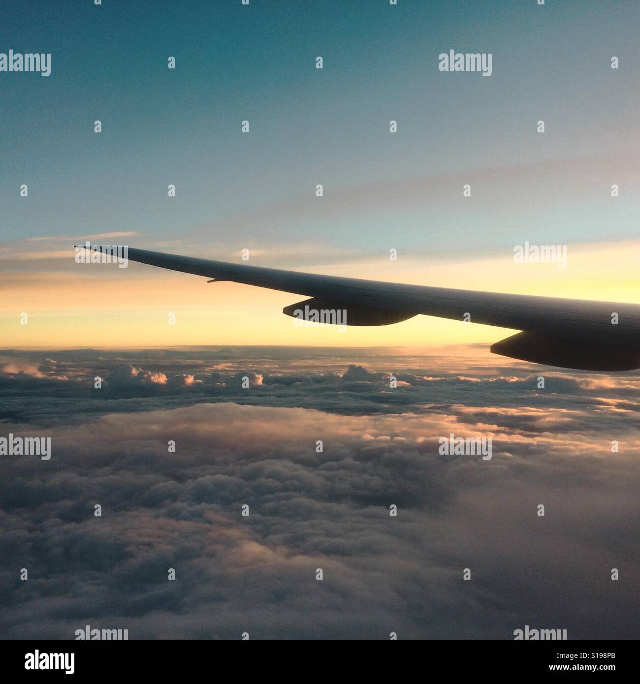 Flugzeugflügel fliegen über den Wolken an der ersten Ampel, Sonnenaufgang Stockfoto