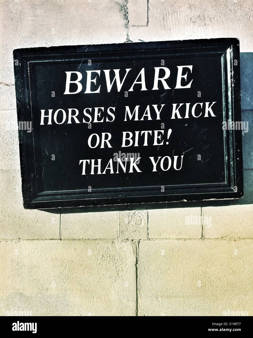 Lustige Schild mit den Worten "Hüten Sie sich vor Pferden kann OR Biss KICK! Ich danke Ihnen "in weißen Großbuchstaben geschrieben. Stockfoto
