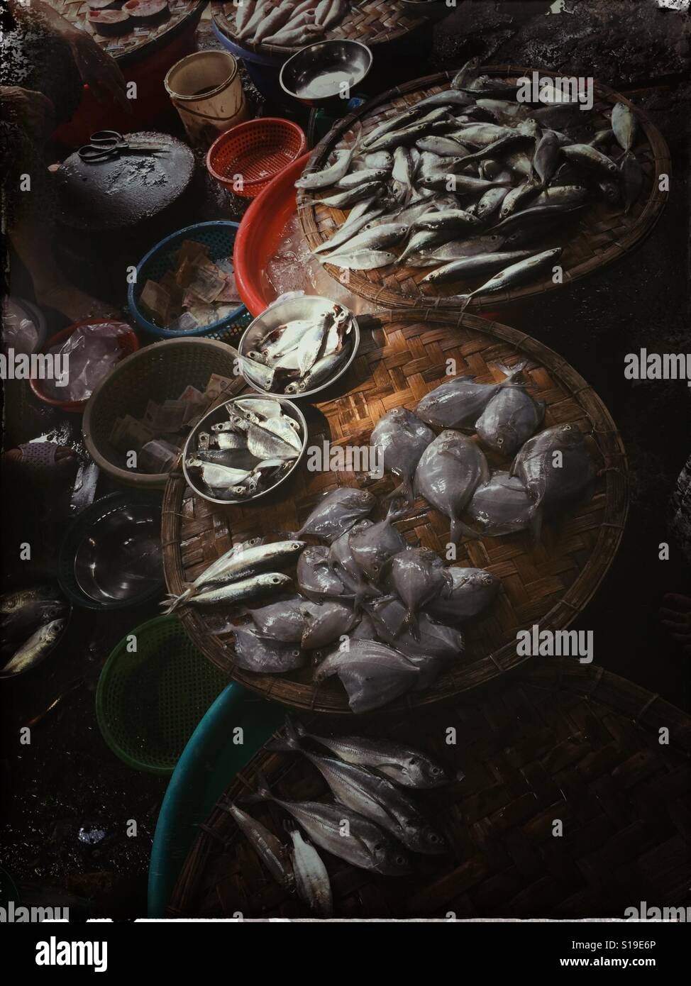 Auf dem Fischmarkt in Nha Trang Vietnam. Stockfoto