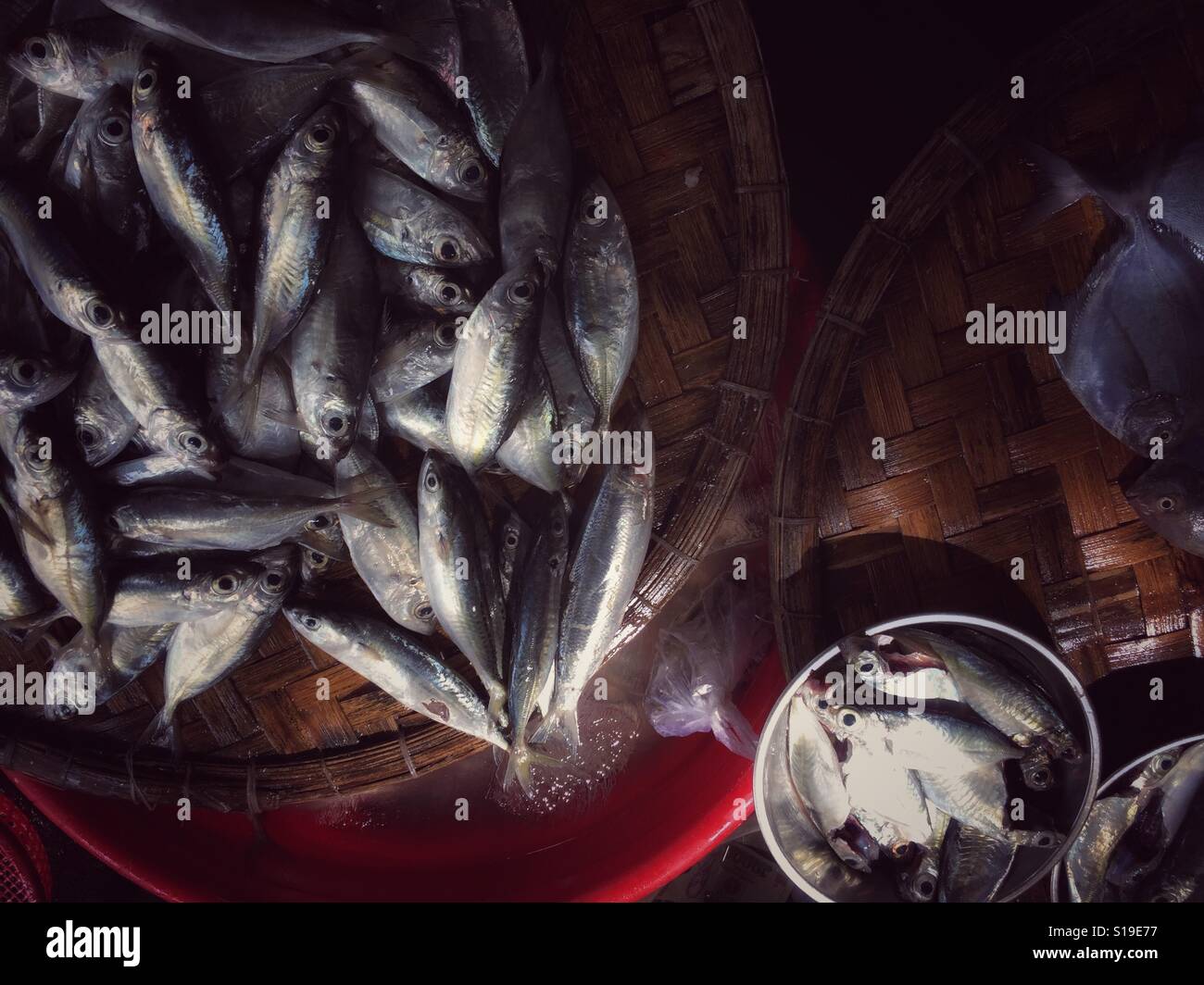 Frischer Fisch-Vielfalt. Stockfoto
