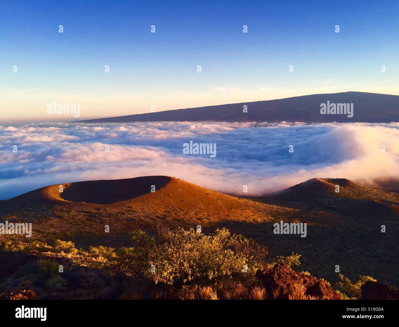 Über den Wolken auf dem Mauna Kea auf der Big Island von Hawaii