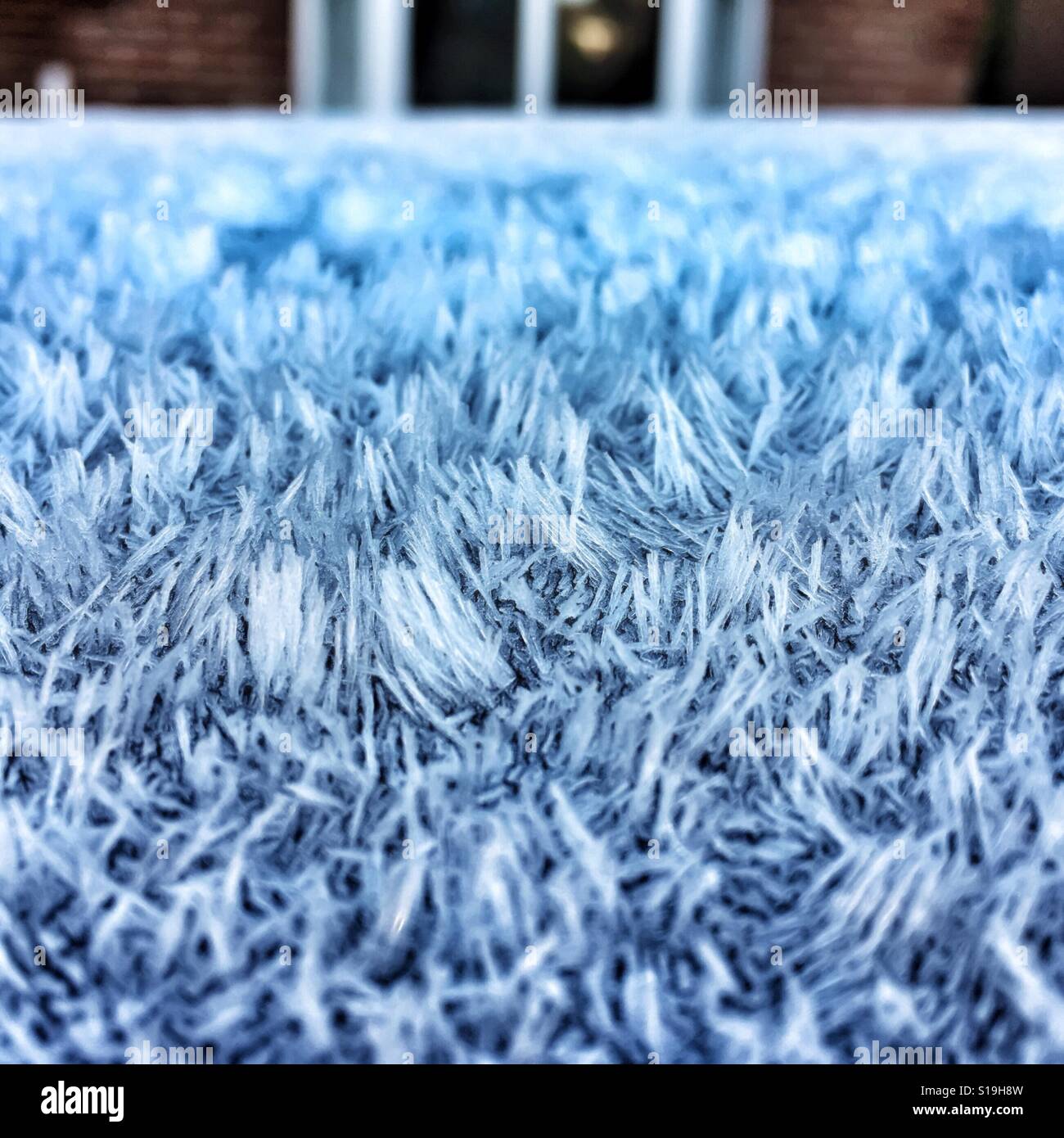 Frost auf einem Autodach - Smartphone-aufgenommenes Stockfoto