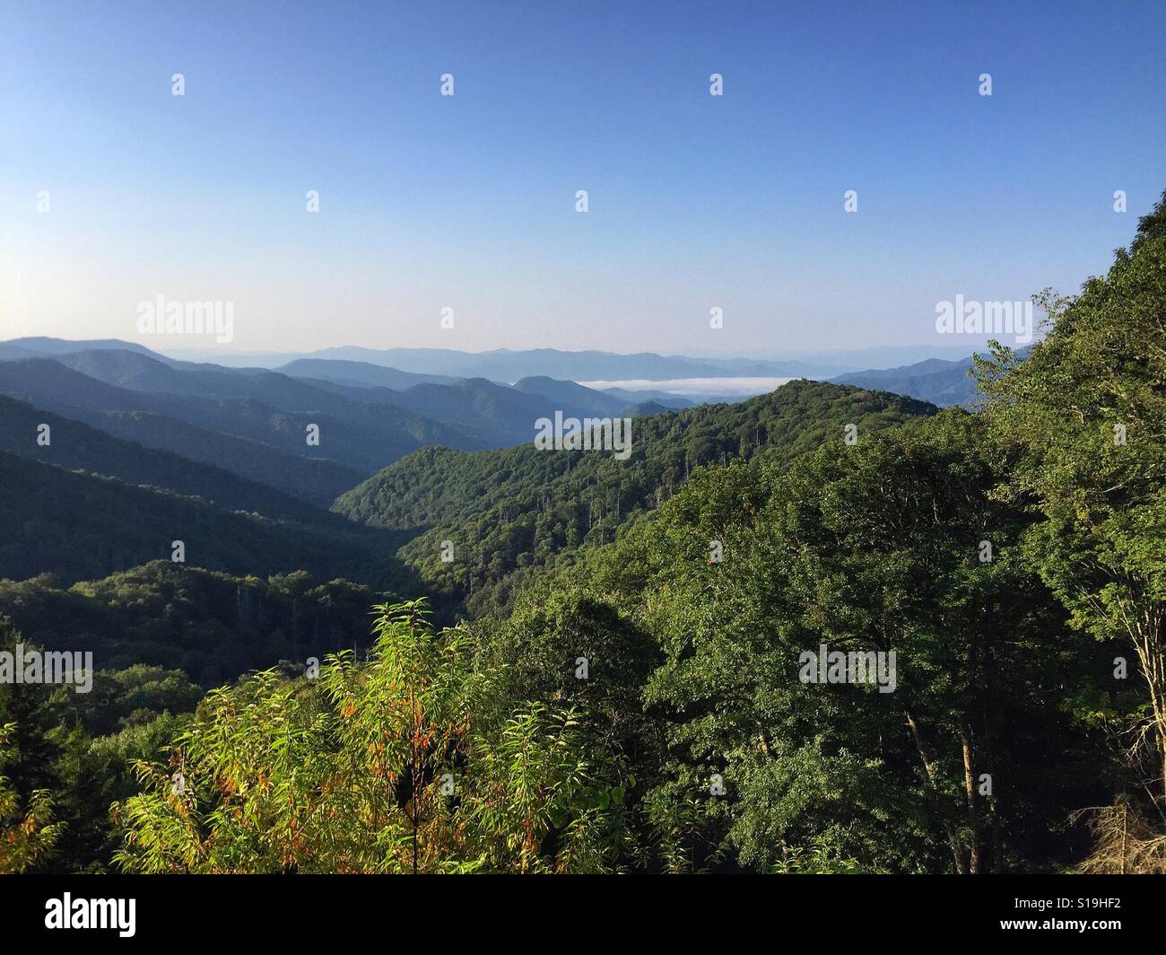 Spätsommer in den Smokies Stockfoto