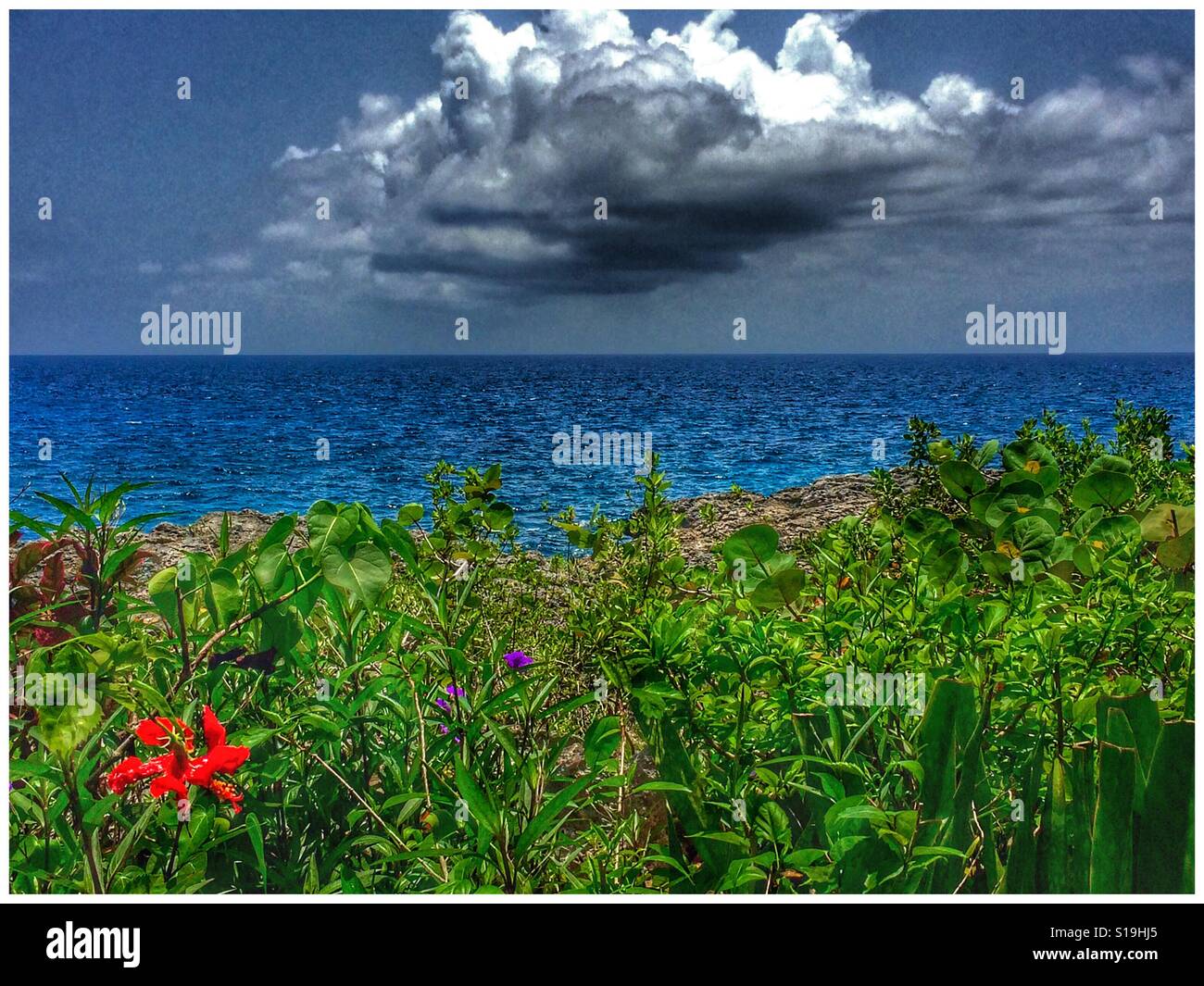 Einen weiteren wunderschönen Tag im Paradies, West End, Jamaika - Smartphone-aufgenommenes Stockfoto