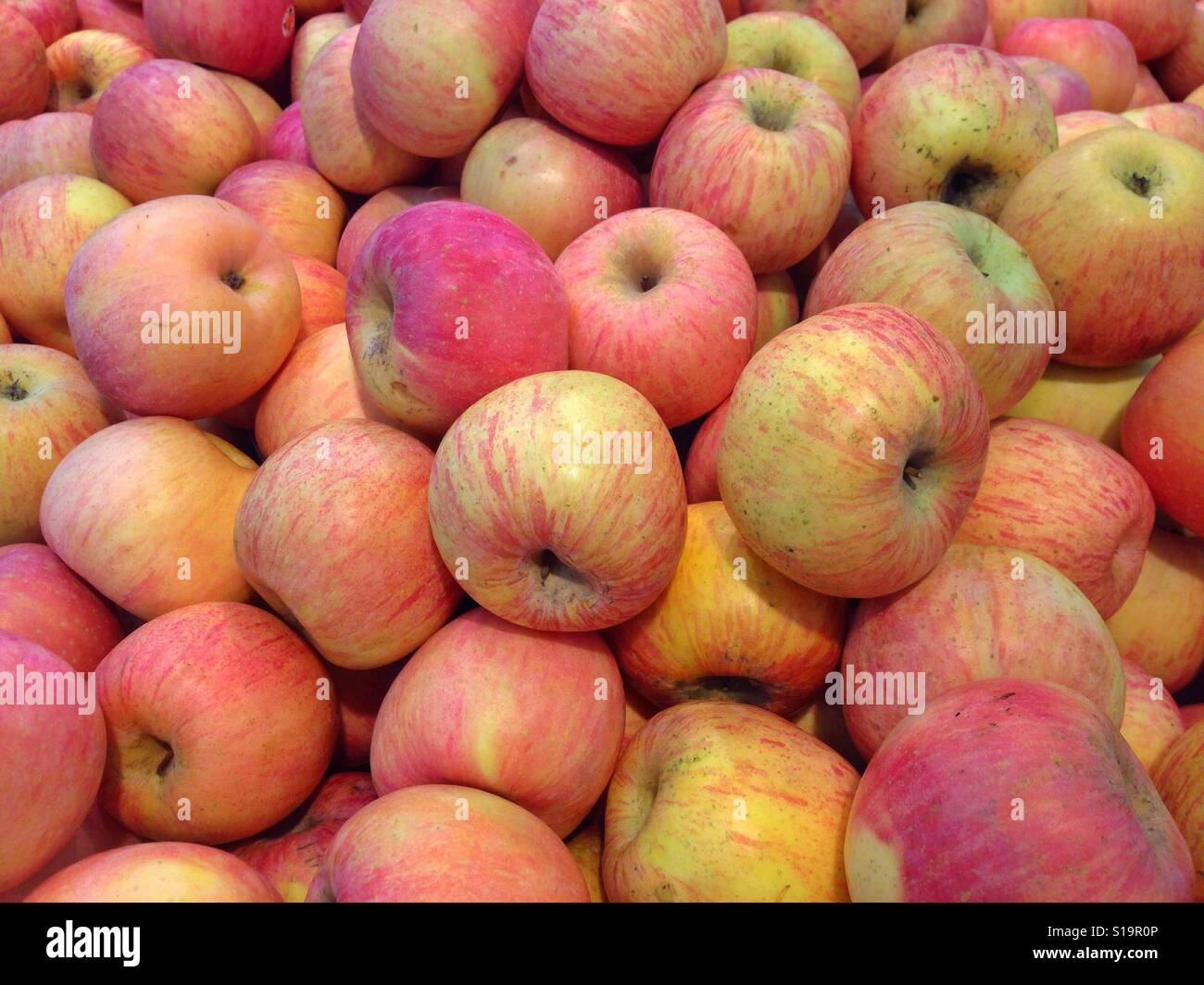Frischer Apfel auf dem Display im Markt Stockfoto