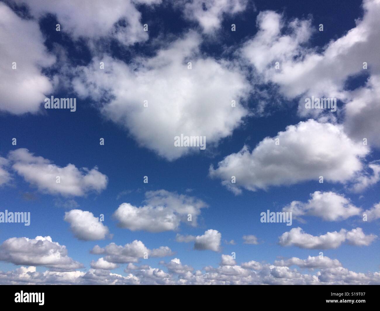 Blauer Himmel und weiße Wolken über Shropshire Stockfoto