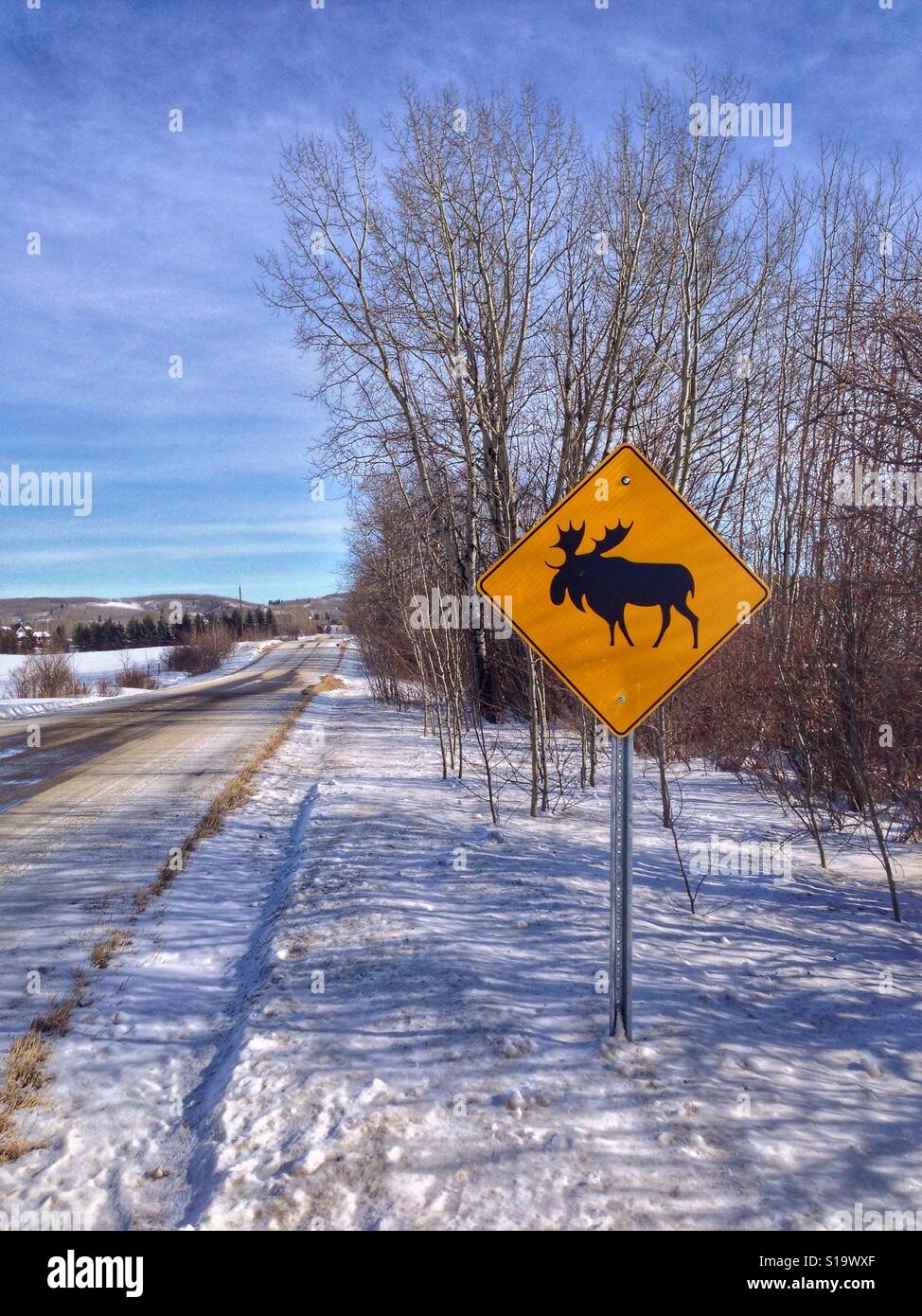 Typische kanadische Winterlandschaft mit Elch-Warnschild. In der Nähe von Priddis, Calgary, Alberta, Kanada. Stockfoto