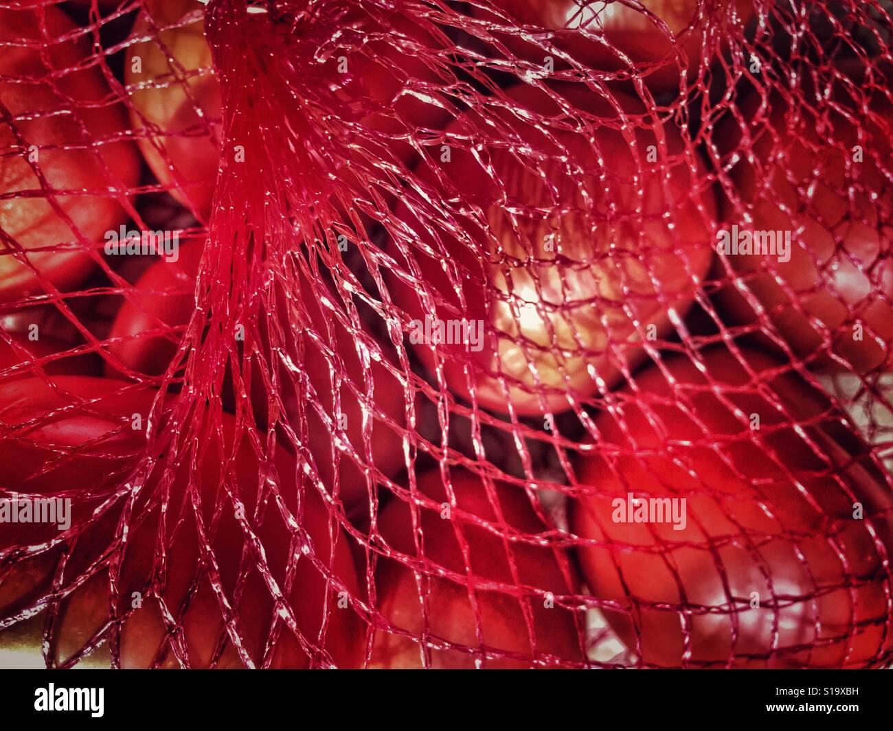 Tomaten aus dem Supermarkt in nicht recyclebar rot Kunststoff-Verpackungen. - Smartphone-aufgenommenes Stockfoto