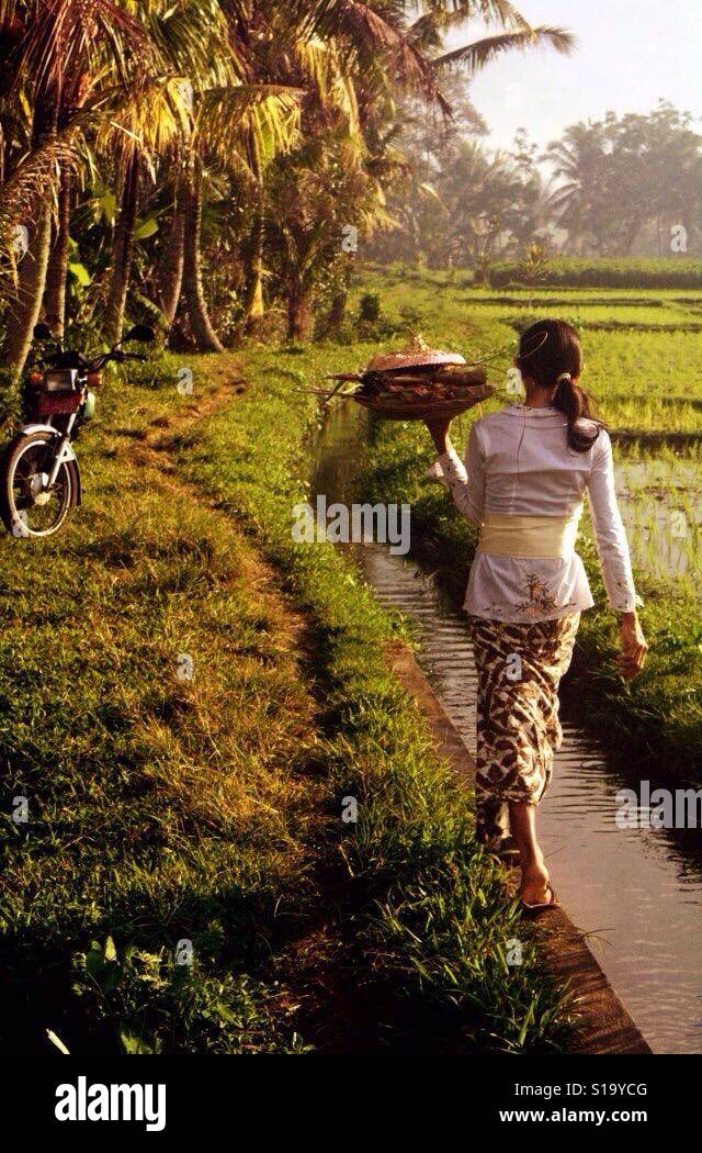 Frau in Bali, in der Nähe von Fluss und Reisfelder Wandern Stockfoto