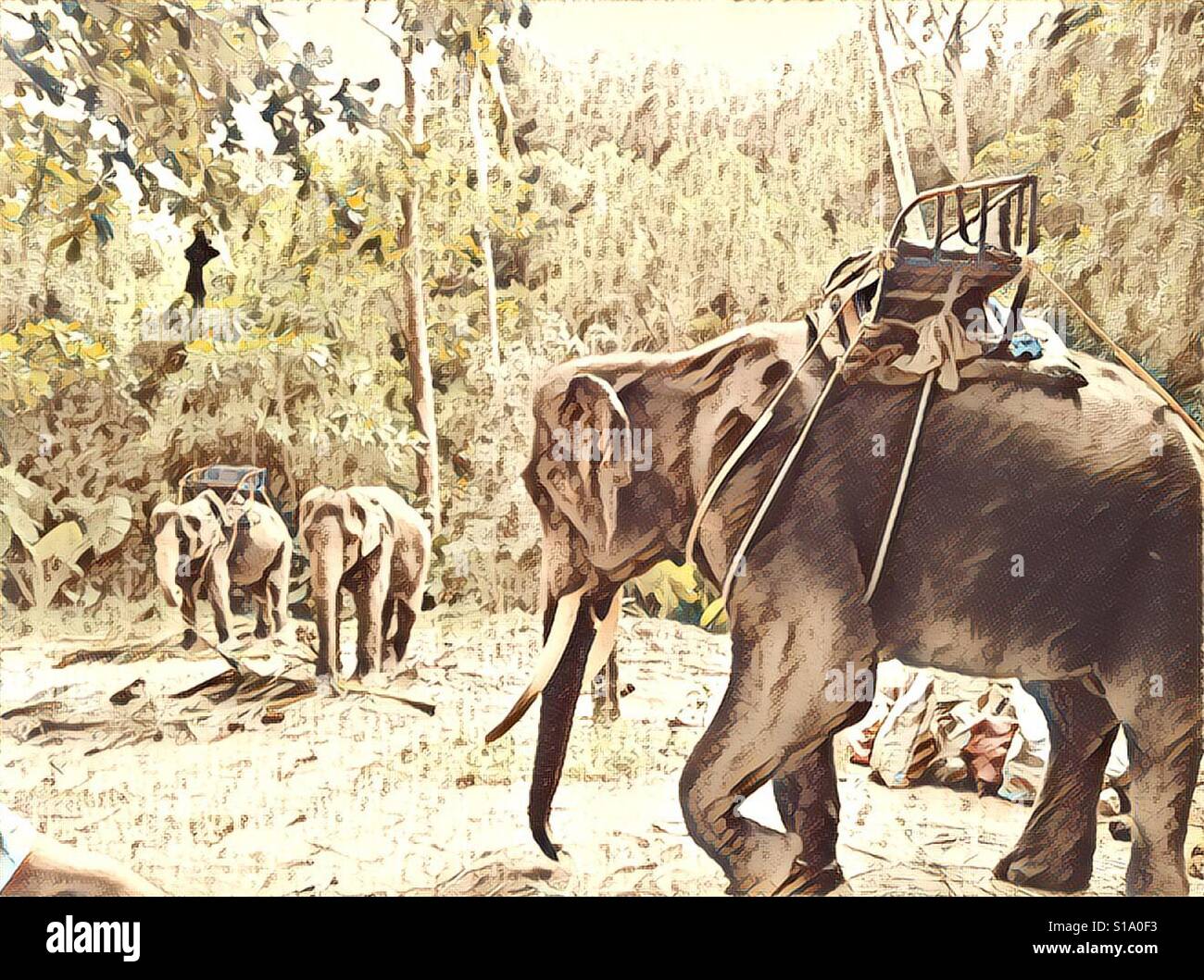 Elefanten-lifestyle Stockfoto