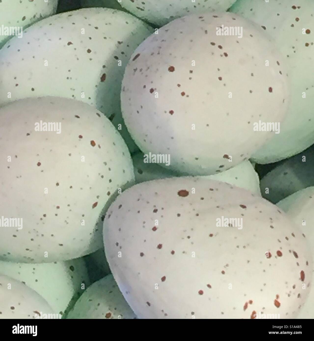Gesprenkelten Eiern Stockfoto
