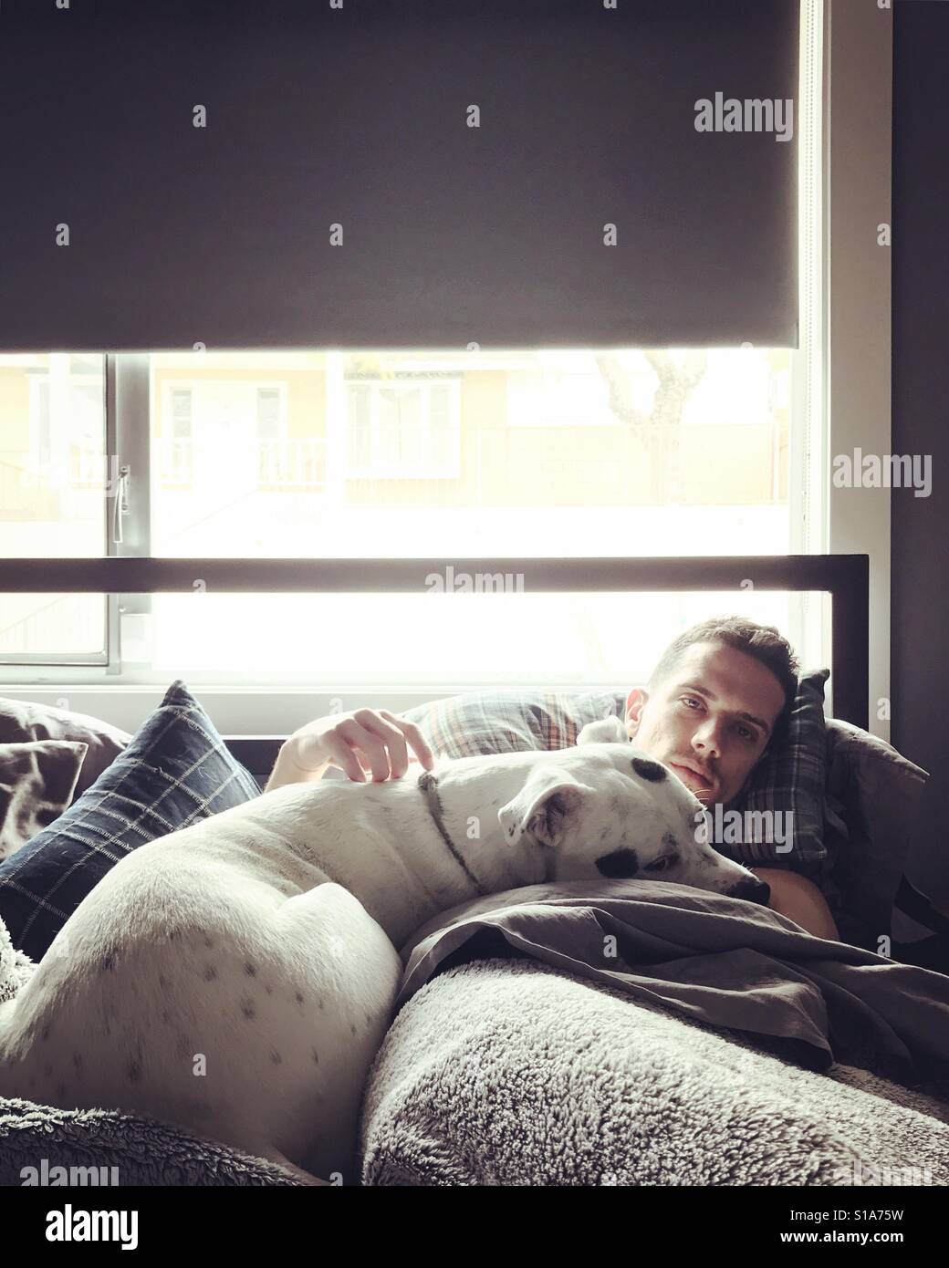 Mann im Bett mit Hund Stockfoto