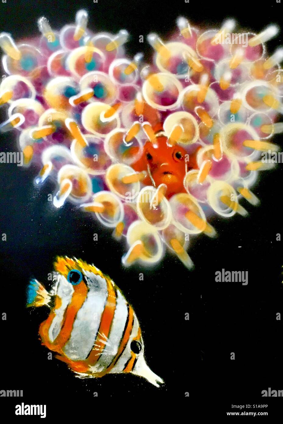 Fisch & Korallen Herz Straßenkunst, Paris - Smartphone-aufgenommenes Stockfoto