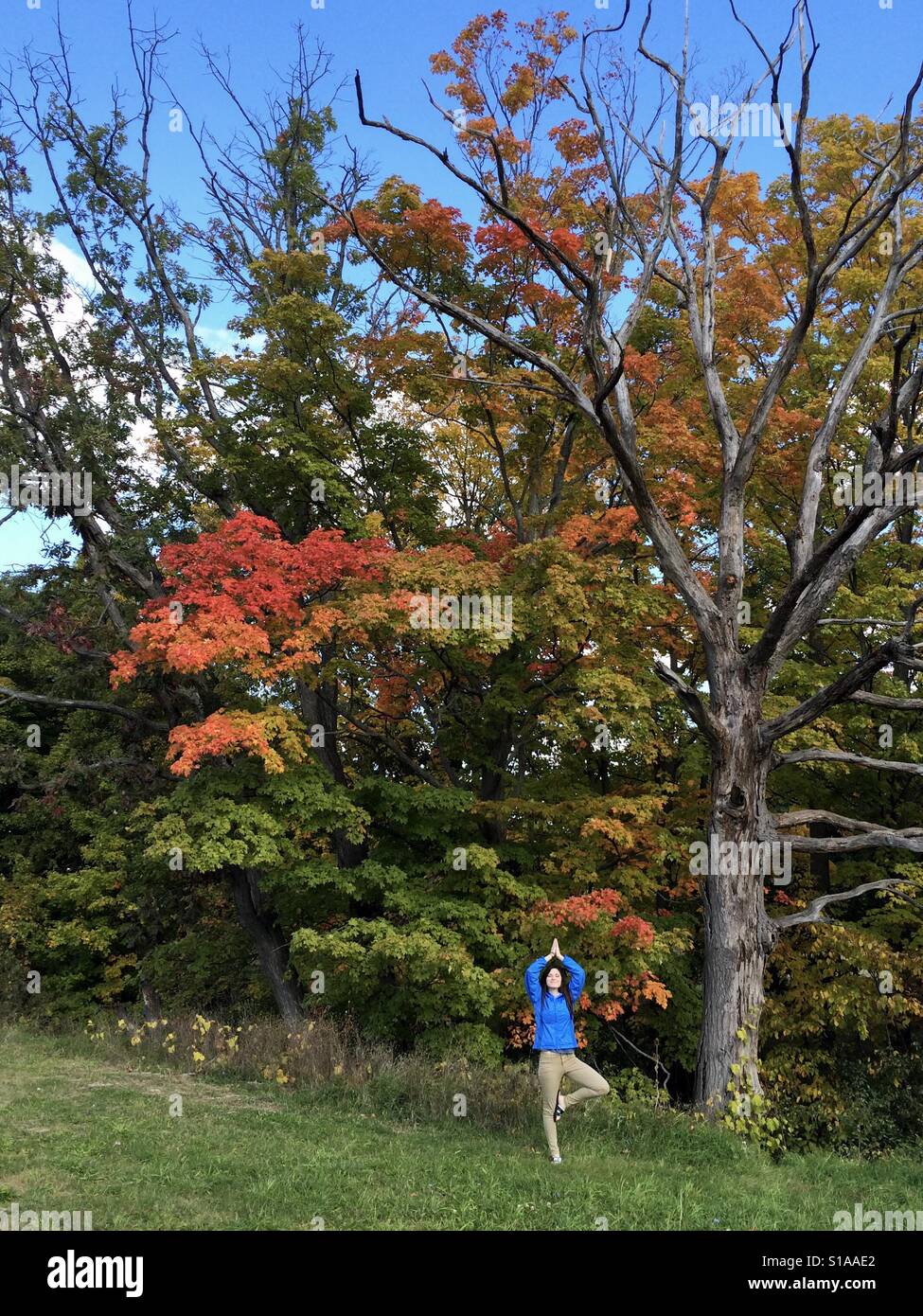 Das Zen der Herbst Stockfoto