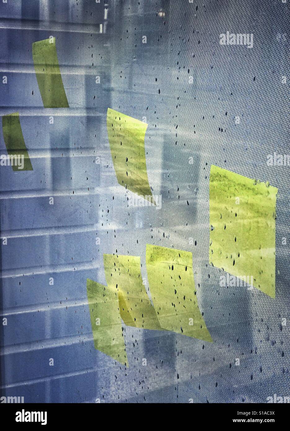 Post-It Zettel im Fenster ein Stadtamt Stockfoto