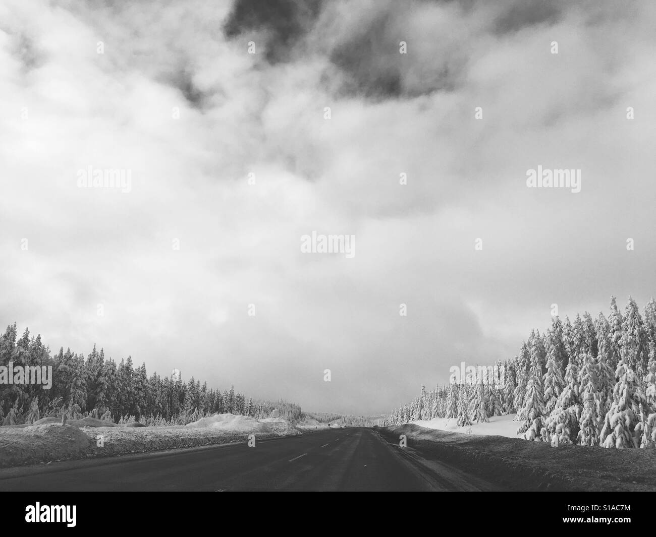 Schwarz / weiß-Landschaft der schneebedeckten Berge pass Autobahn in Kanada mit immergrünen Bäumen Stockfoto