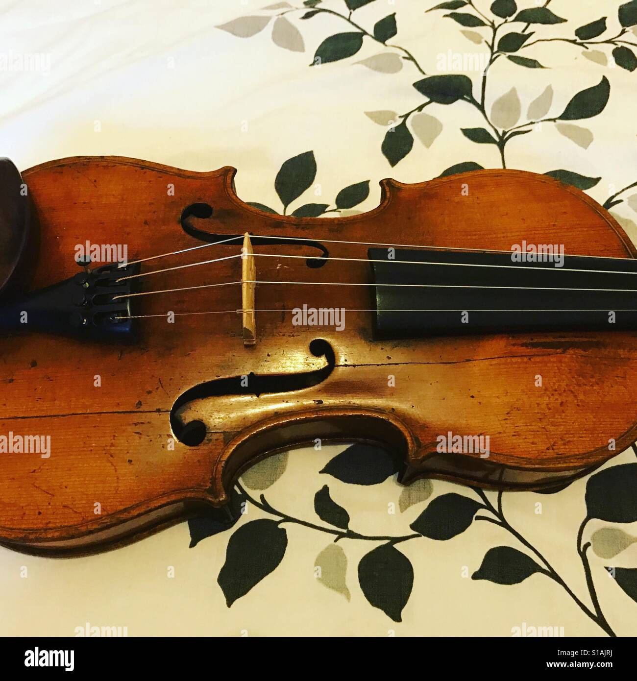 Hopf Geige 1860 Stockfotografie - Alamy