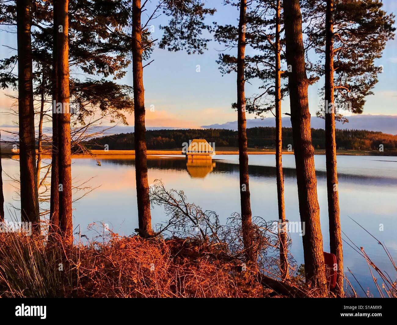 Goldene Stunden bei Kielder Water and Forest, Northumberland Park, England Stockfoto