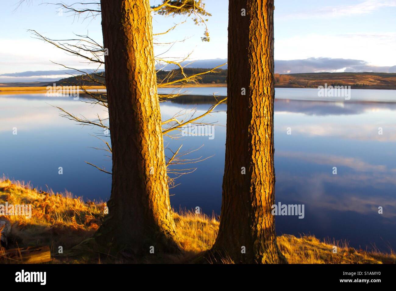 Goldene Stunden im Kielder Water in Northumberland Park, England Stockfoto