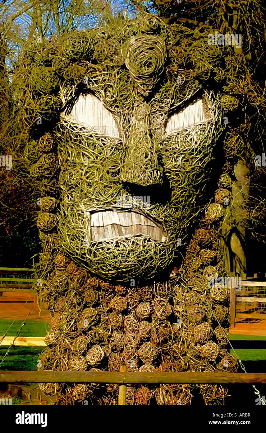 Wütendes Gesicht Weide Skulptur Stockfoto