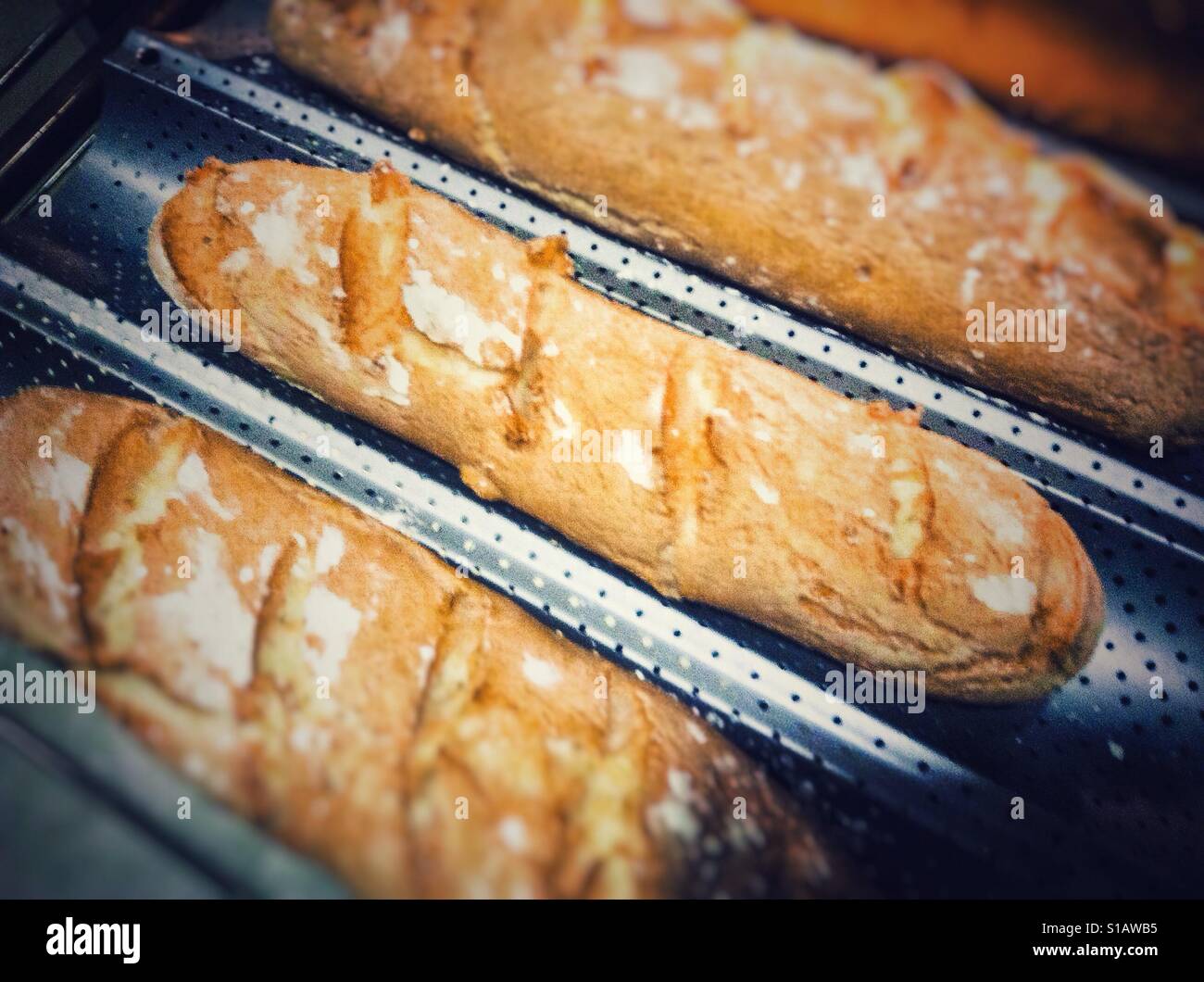 Hausgemachte glutenfreie Baguette-Brot Stockfoto