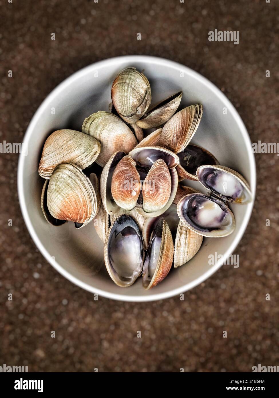 Eine Schüssel mit leeren Muscheln Muschel, nach einer Mahlzeit. Stockfoto