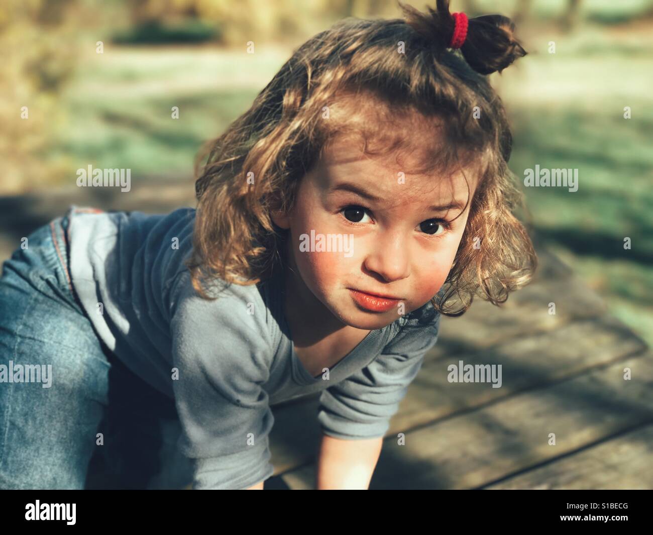 2 Jahre altes Mädchen Porträt im Wald Stockfoto