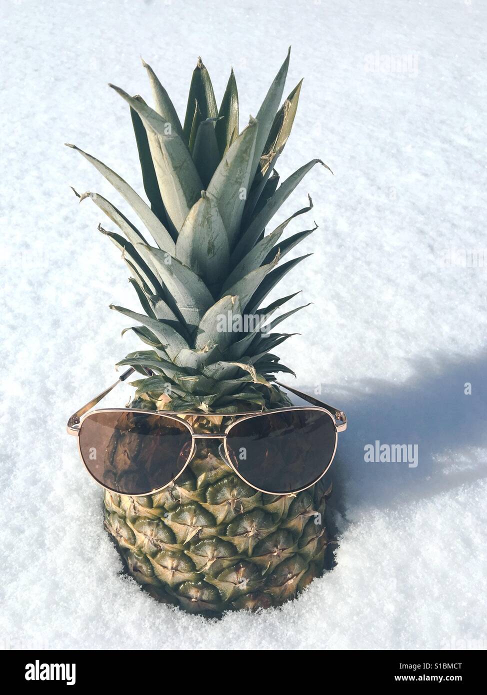 Sonnenbrille auf Ananas im Schnee Stockfoto