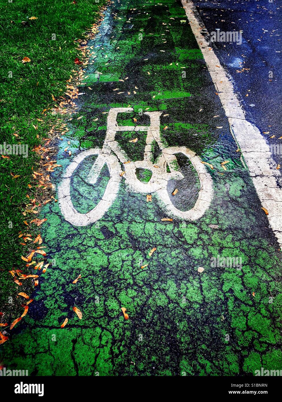 Eine weiß lackierte Fahrrad-Design hebt sich ein grüner Radweg zwischen Wiesen und dem Bürgersteig. Stockfoto