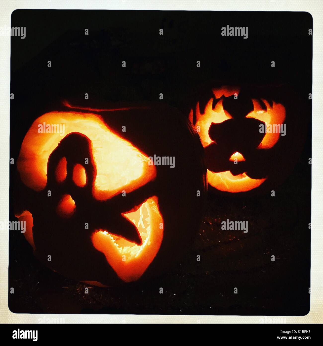 Zwei große Kürbisse geschnitzt und beleuchtet für Halloween Stockfoto