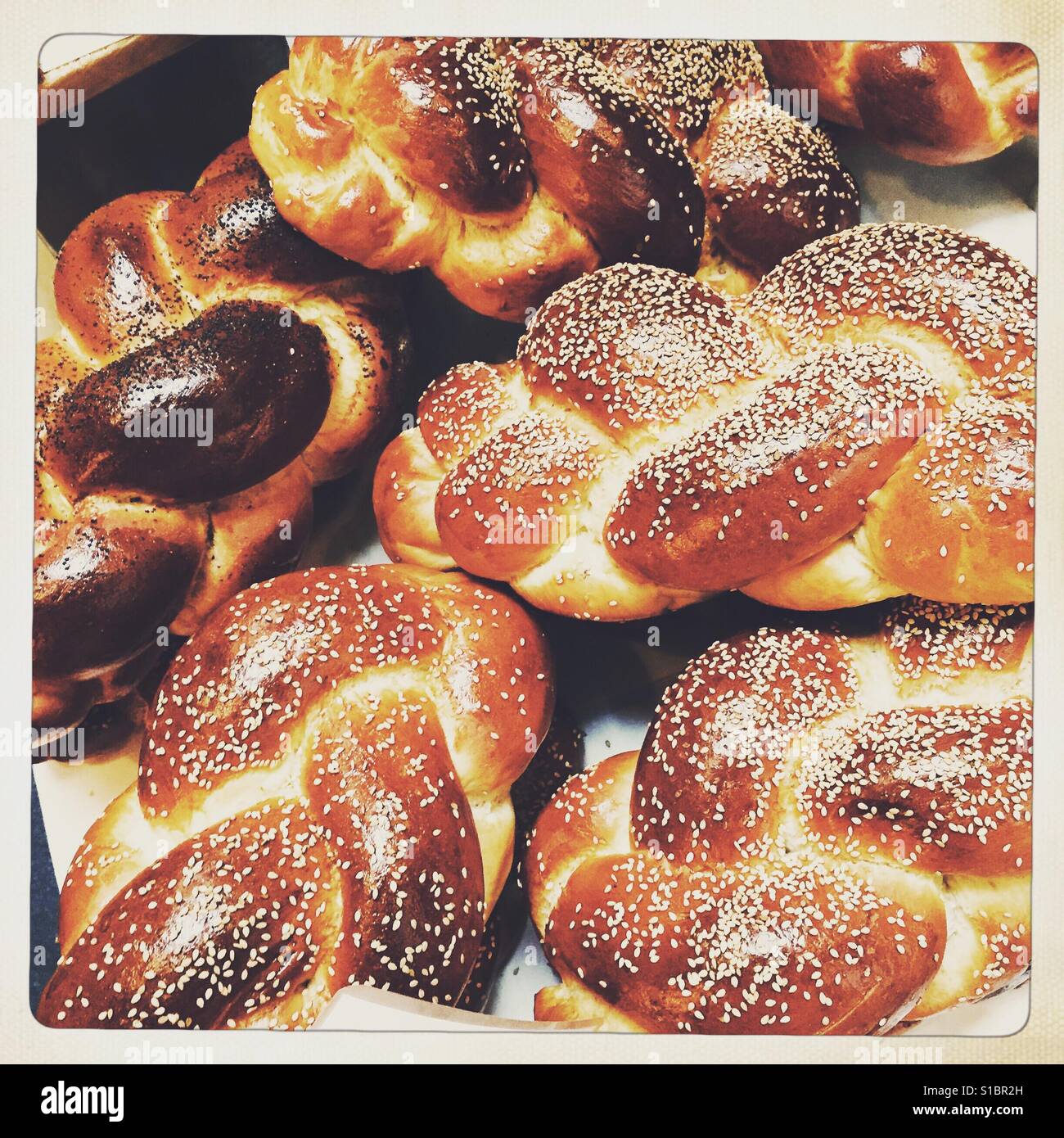 Chollah-Brot mit Sesam Stockfoto
