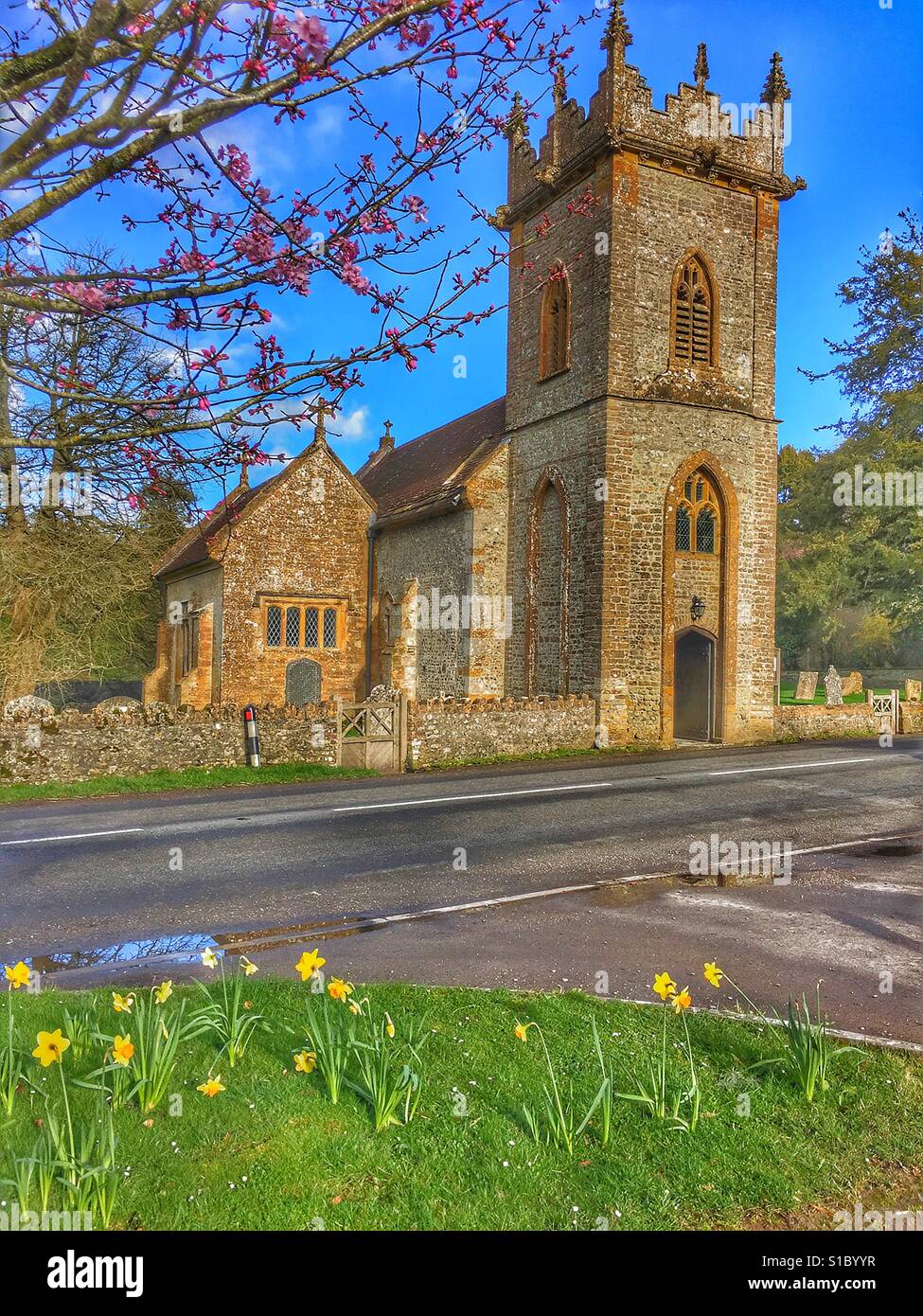 Kirche, Narzissen und blühen in der Ortschaft Minterne Magna im ländlichen Dorset, England. - Smartphone-aufgenommenes Stockfoto