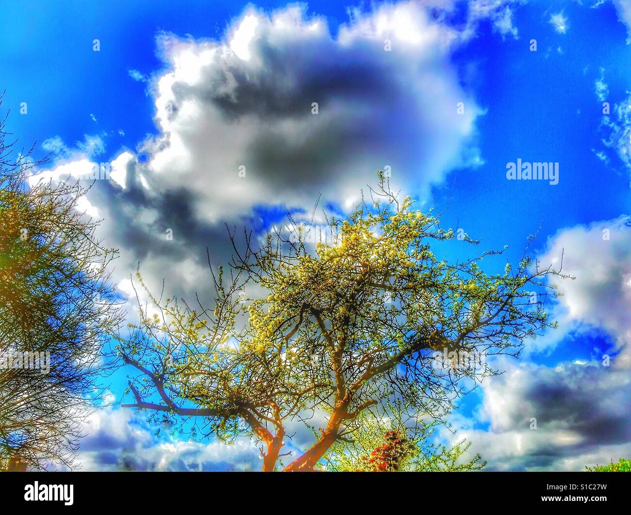 Bewölktem Himmel - Smartphone-aufgenommenes Stockfoto