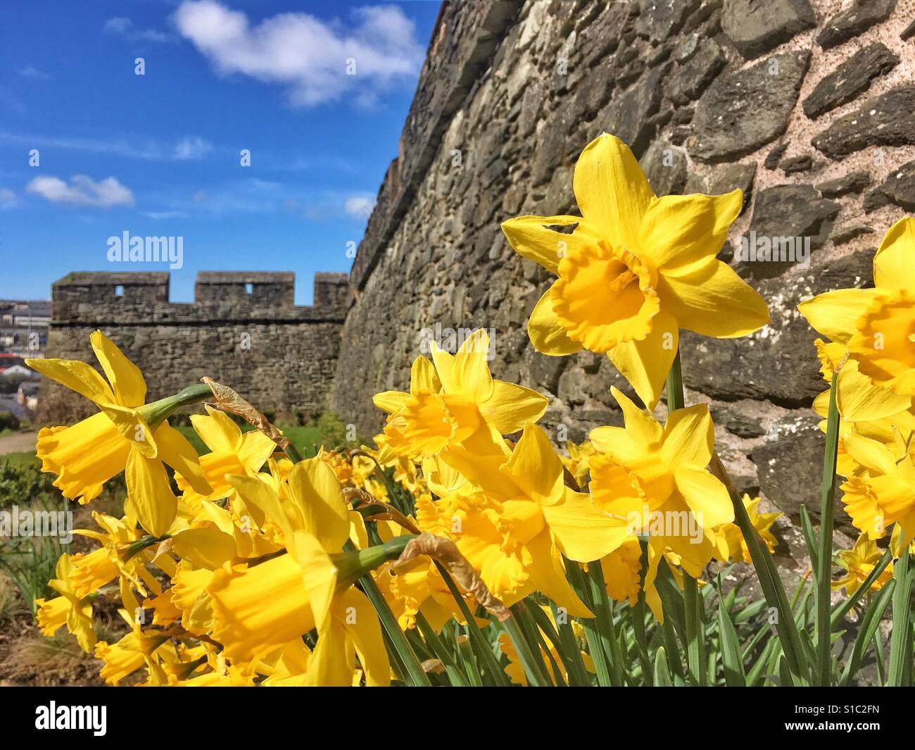 Frühling in Derry - Smartphone-aufgenommenes Stockfoto