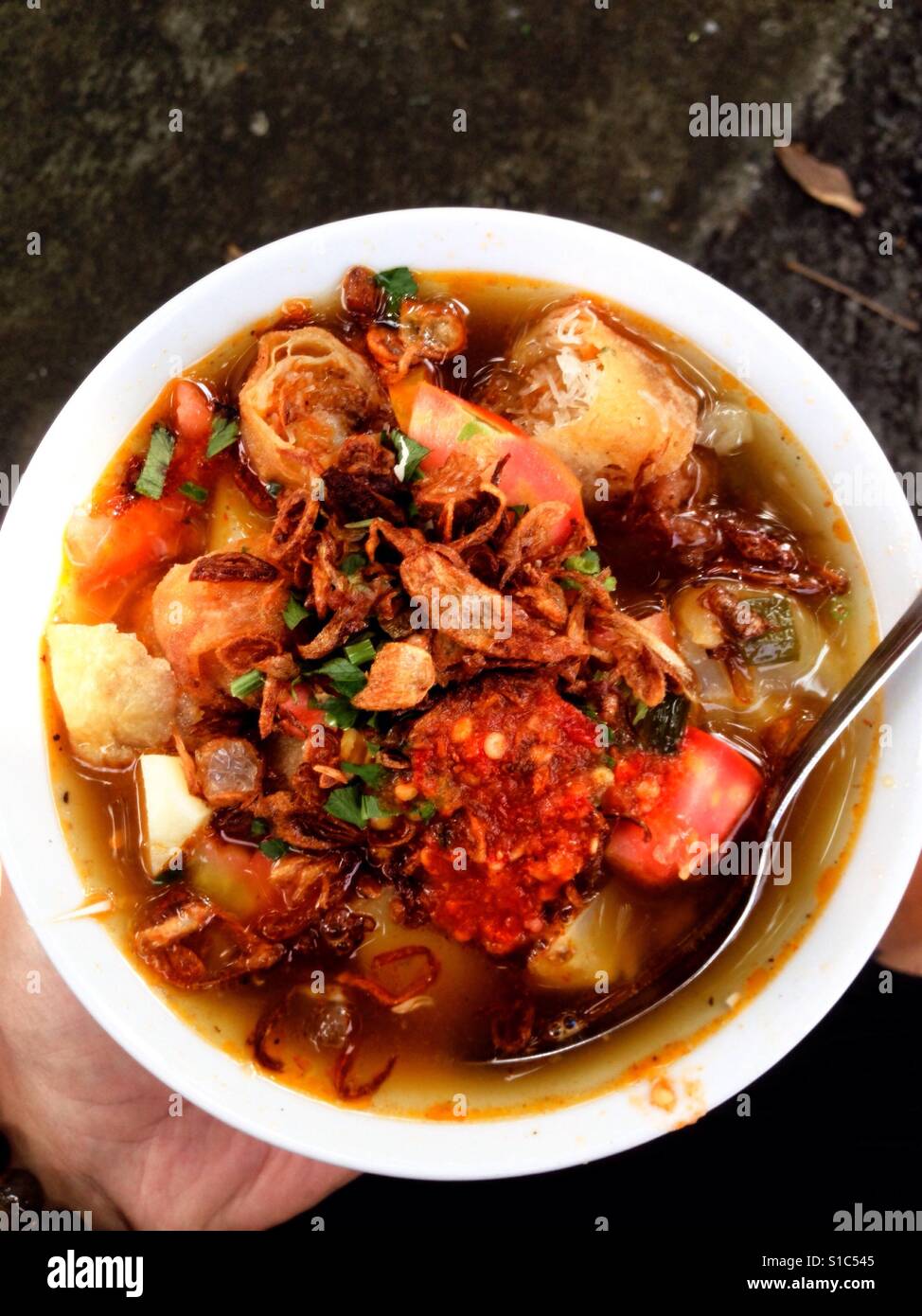 Traditionelle Suppe Indonesien / Soto Bogor Stockfoto