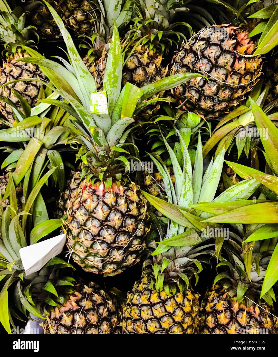 Tropischen Ananas zum Verkauf Stockfoto