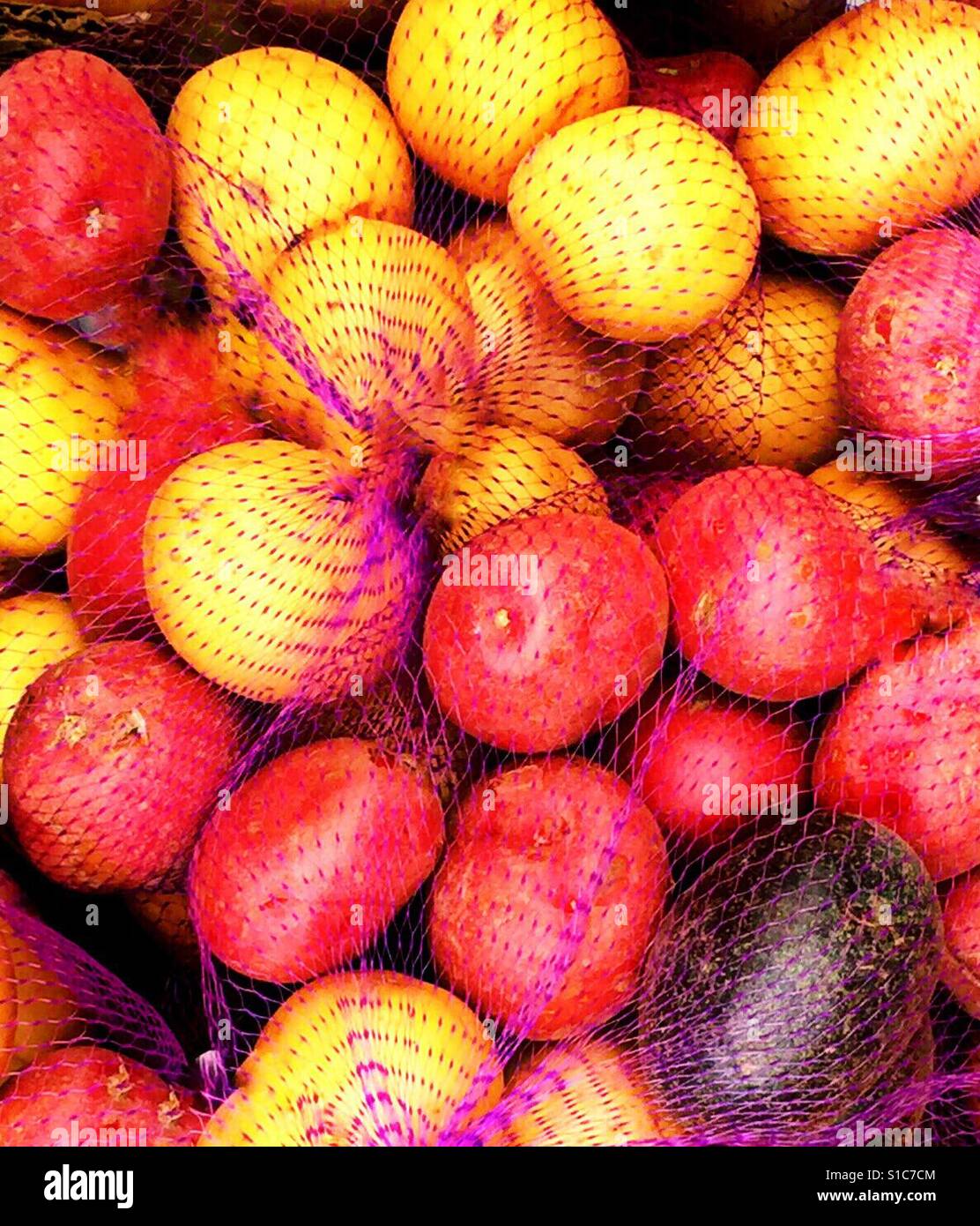 Schönen Multi Color Kartoffeln auf dem Markt Stockfoto