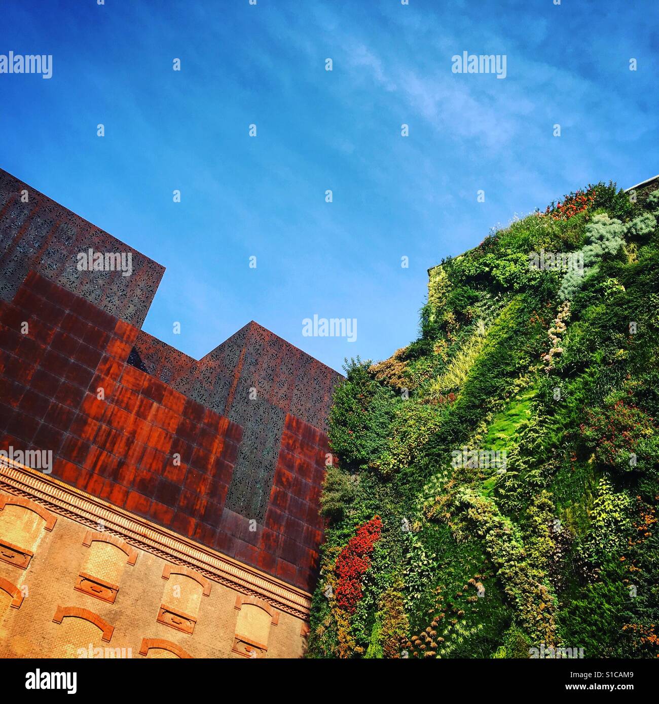 Vertical Garden mit moderner Architektur - Smartphone-aufgenommenes Stockfoto