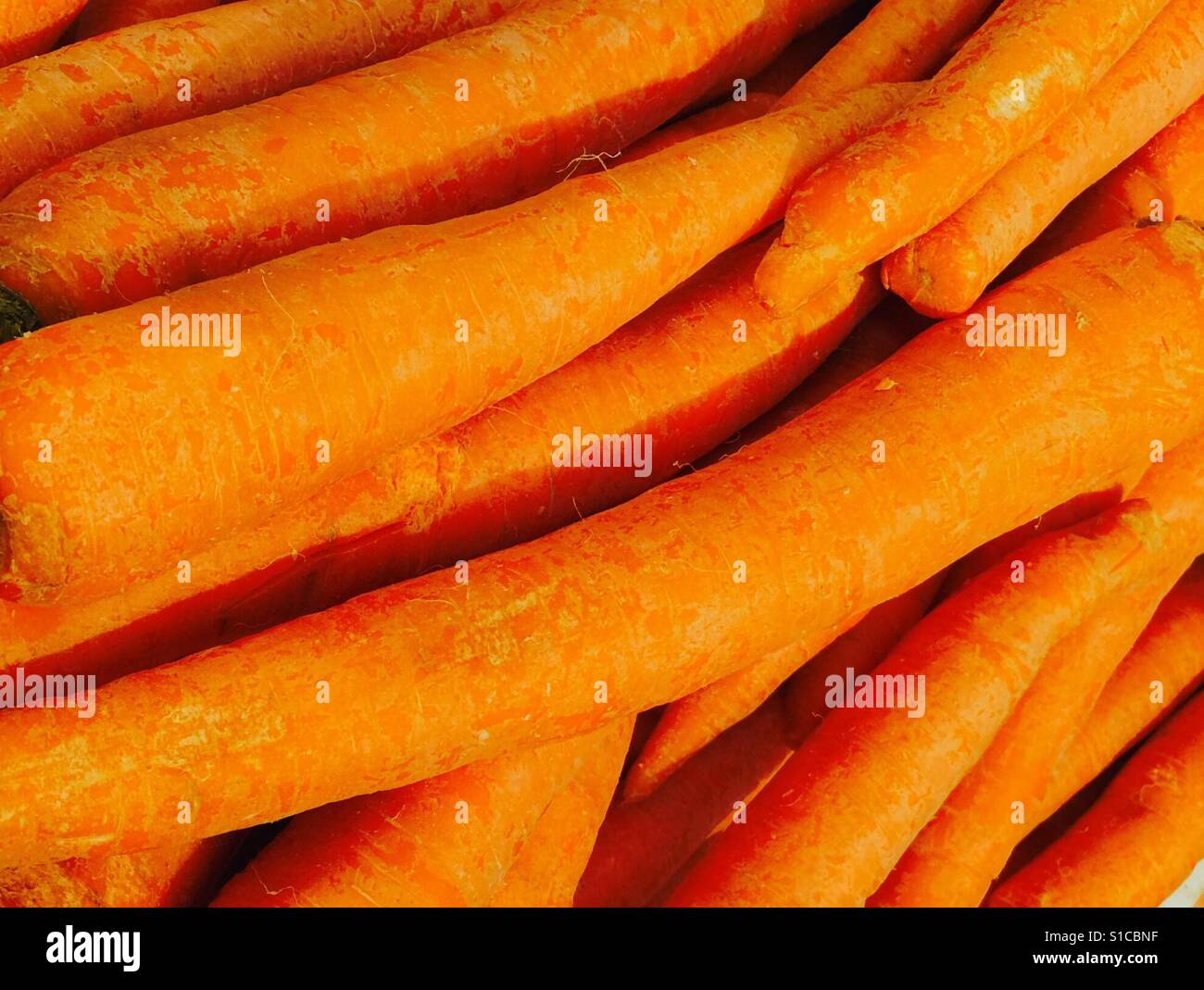 Große Karotten auf dem Markt Stockfoto
