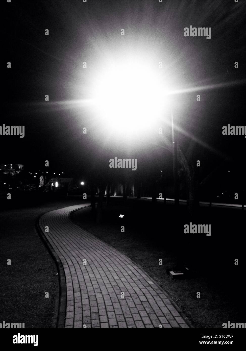 Öffentliche Lampe auf dem Parkplatz in der Nacht - Schwarz / weiß Stockfoto