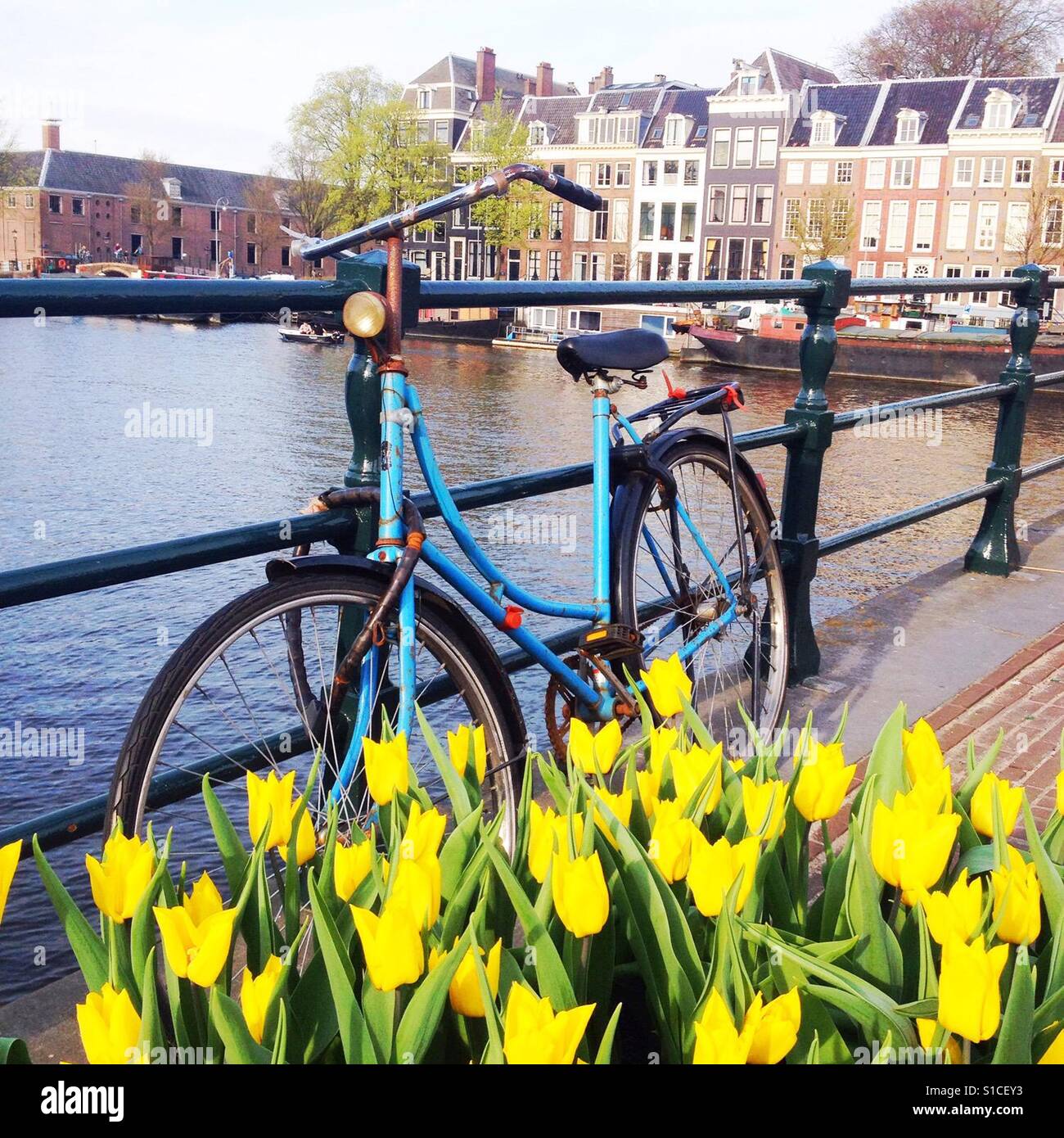 1 woche amsterdam mit fahrrad