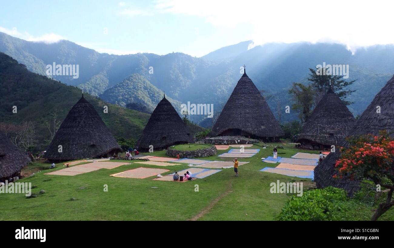 Traditionelle Wae Rebo Dorf in Flores, Indonesien. Stockfoto
